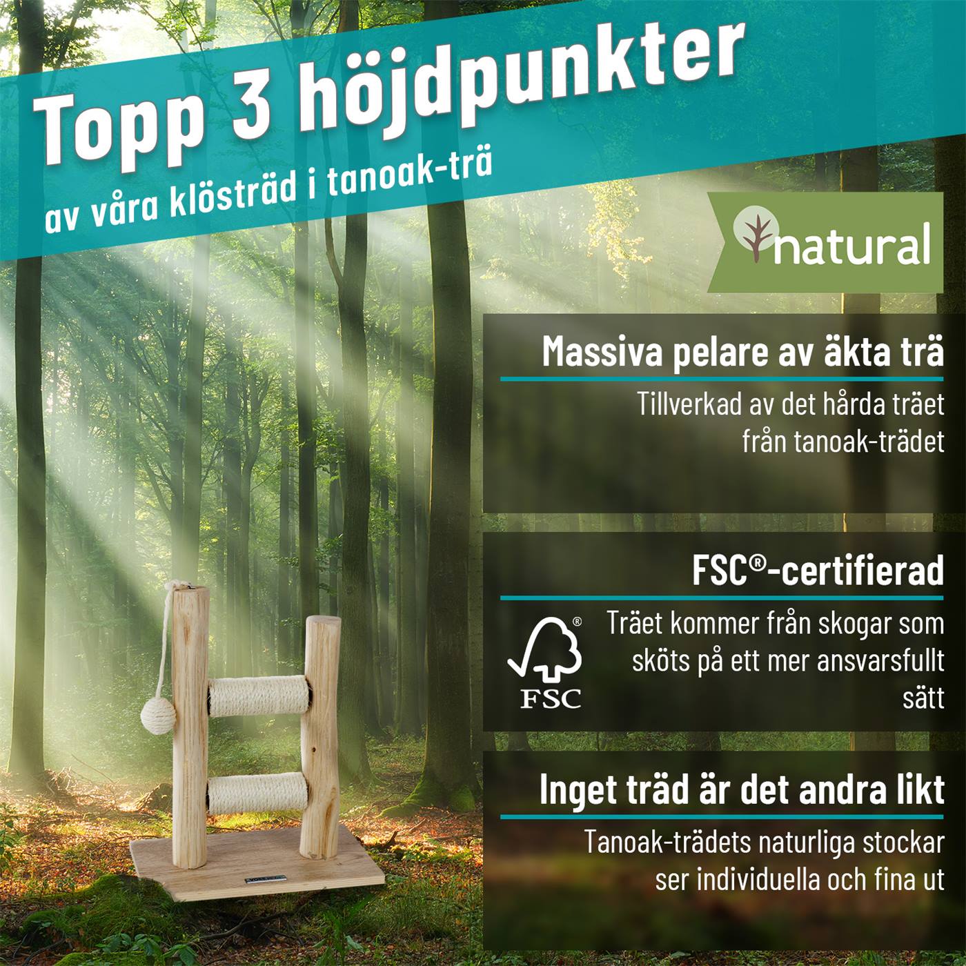 VOSS.PET skrapstolpe i äkta trä "Morea" - premium skrapstolpe av naturligt Tanoak-trä, 43 cm, omgiven av solljus i skogen, presenterar sina miljövänliga egenskaper på tyska.