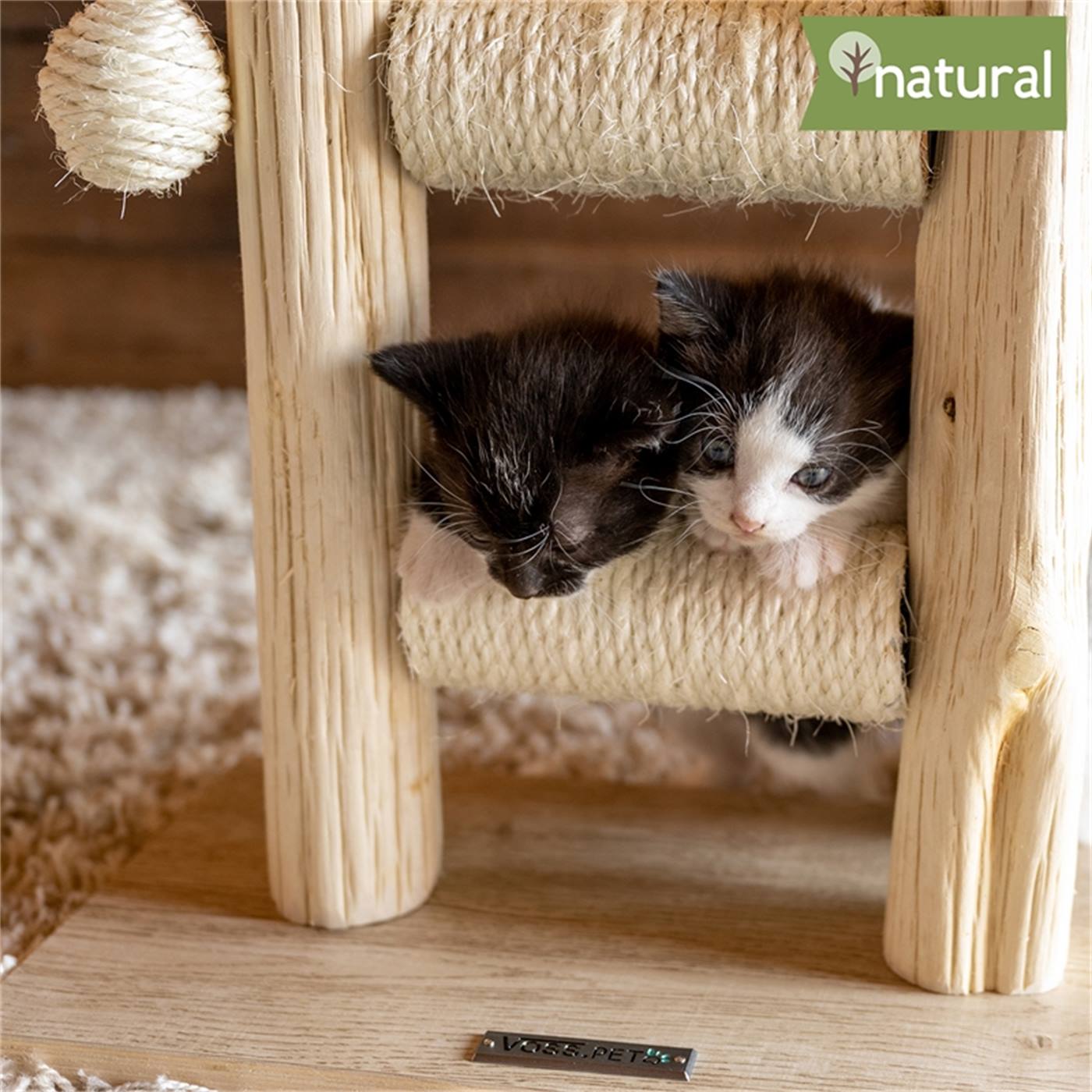 Två svartvita kattungar gosar på VOSS.PET "Morea" klösbräda i äkta trä - en 43 cm hög, sisalklädd premiumklösbräda av naturligt tanoakträ med en "natural wood"-etikett i hörnet.
