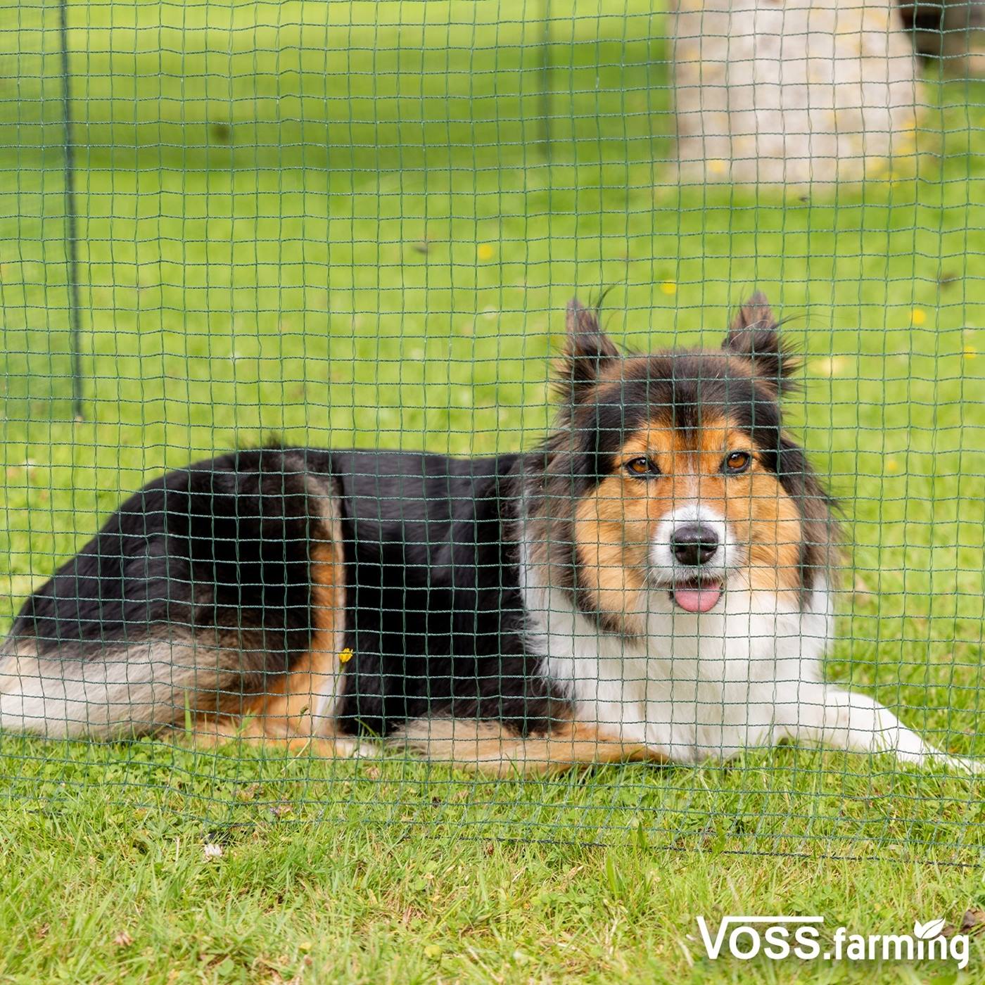 Dubbelklicka för att förstora Stängselnät classic 20 m x 90 cm, 12 stolpar, grön, utan el, VOSS.farming