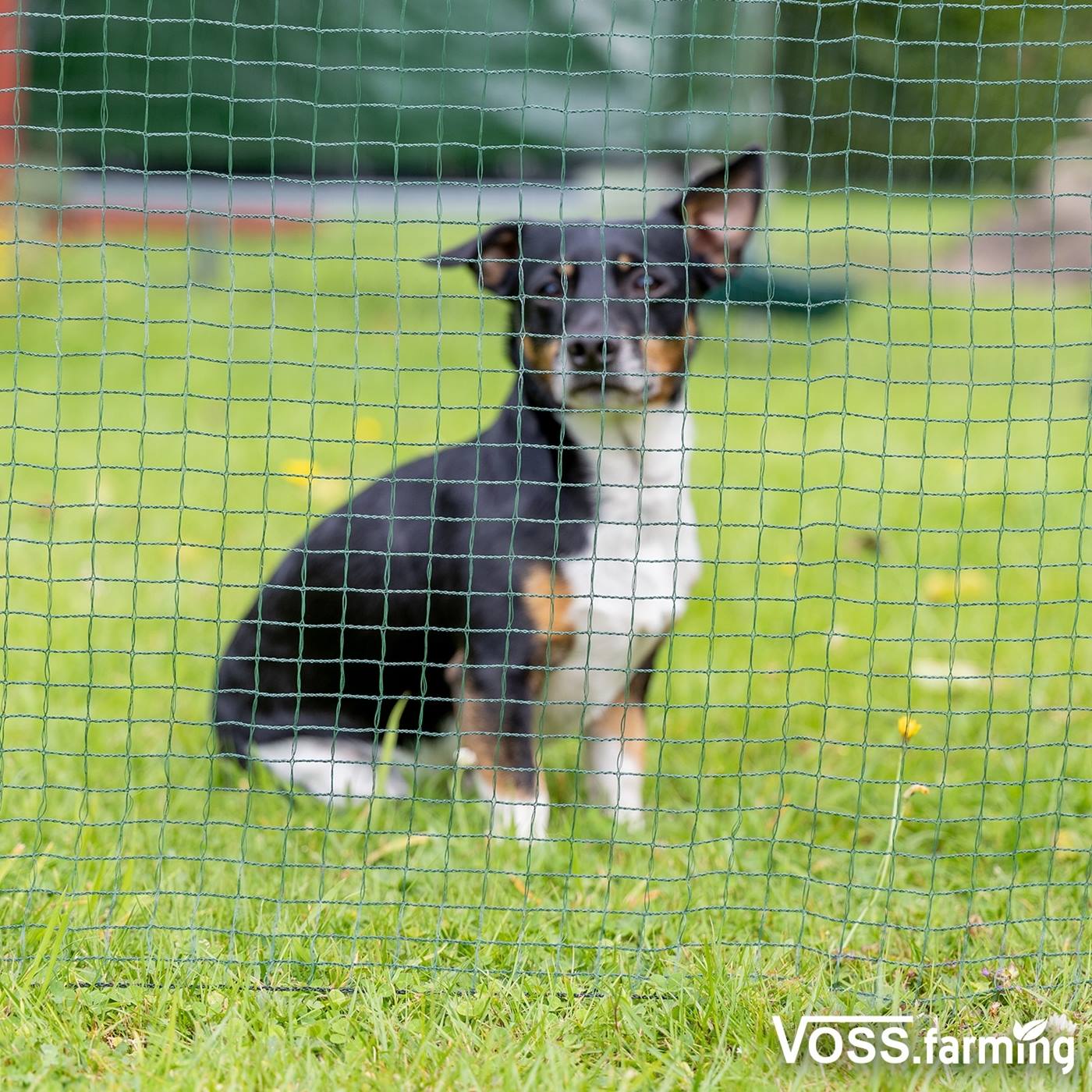 Dubbelklicka för att förstora Stängselnät classic 20 m x 90 cm, 12 stolpar, grön, utan el, VOSS.farming