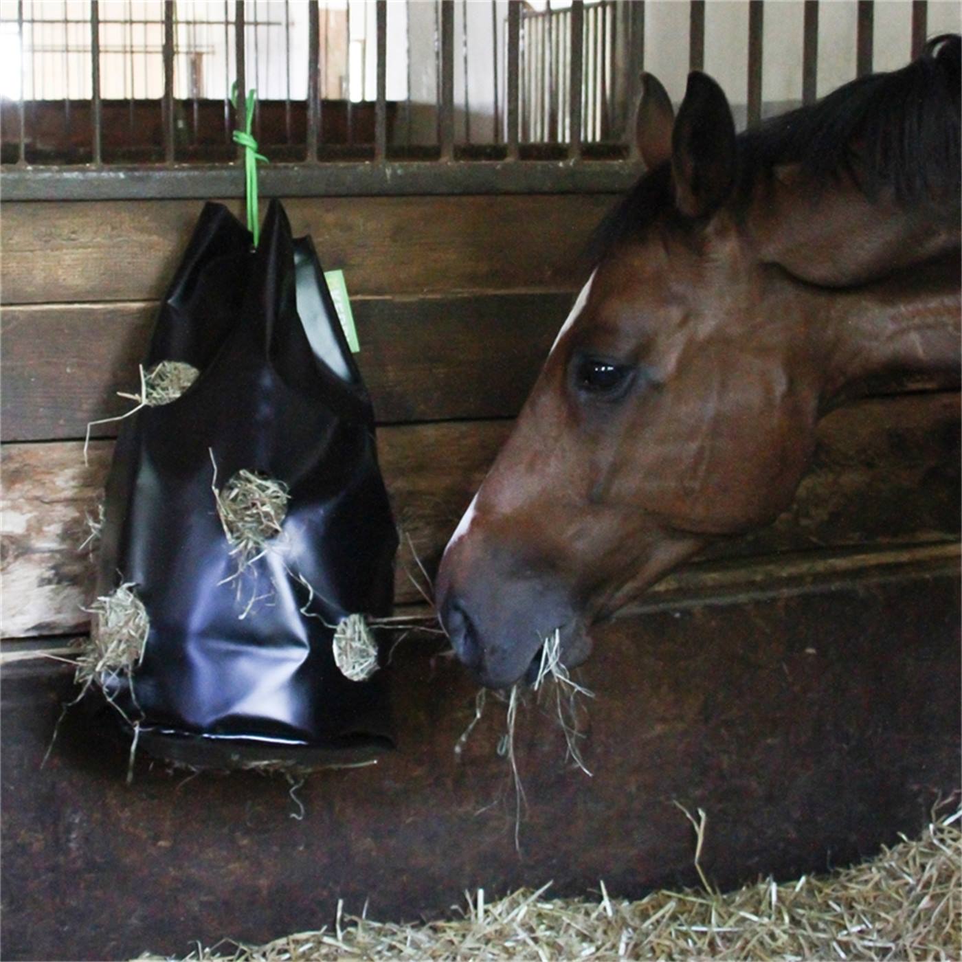 En "HayBag" hösäck från Kerbl hänger på en metallram på en gräsmatta utomhus omgiven av träd.