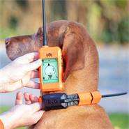 Hundpejl handenhet "Dogtrace X30 handenhet" för hundspårning, GPS-tracker