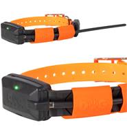 Pejlhalsband till hundpejl "Dogtrace GPS X20 reservhalsband", GPS-spårare hund