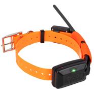 Hundpejl Dogtrace GPS X22 tracker, sparpack för 2 hundar, pejlhalsband till jakthund, ORANGE