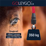 Grimma GoLeyGo 2.0, brun-ljusblå, inkl. Adapter-Pin GoLeyGo