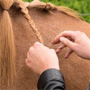 Gummiband för häst, breda, tåliga band i plastburk