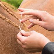 Gummiband för häst, breda, tåliga band i plastburk