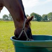 Vattenkar 150 liter, balja för hage, vattenförsörjning häst, kor, getter, får, VOSS.farming