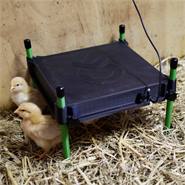 Värmetak för kycklingar "CosyHeat", kycklinguppfödning, 30x30cm, 25W