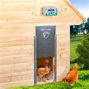 Lucköppnare "ChickenFriend" + hönslucka 430 x 400 mm + solcellsbatteri, VOSS.farming