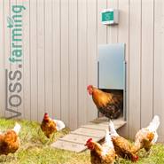 Lucköppnare Chicken-Door, elektrisk lucköppnare till hönslucka, hönshus, VOSS.farming