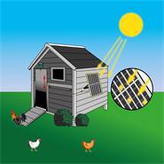 Lucköppnare Chicken-Door + hönslucka, 220 x 330 mm + solceller, batteri, VOSS.farming