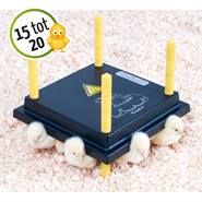 Värmetak för kycklingar (25 x 25 cm, 15 W)