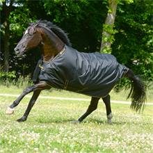 Hästtäcke Bucas Irish Turnout 150 g, utetäcke till häst, black/gold
