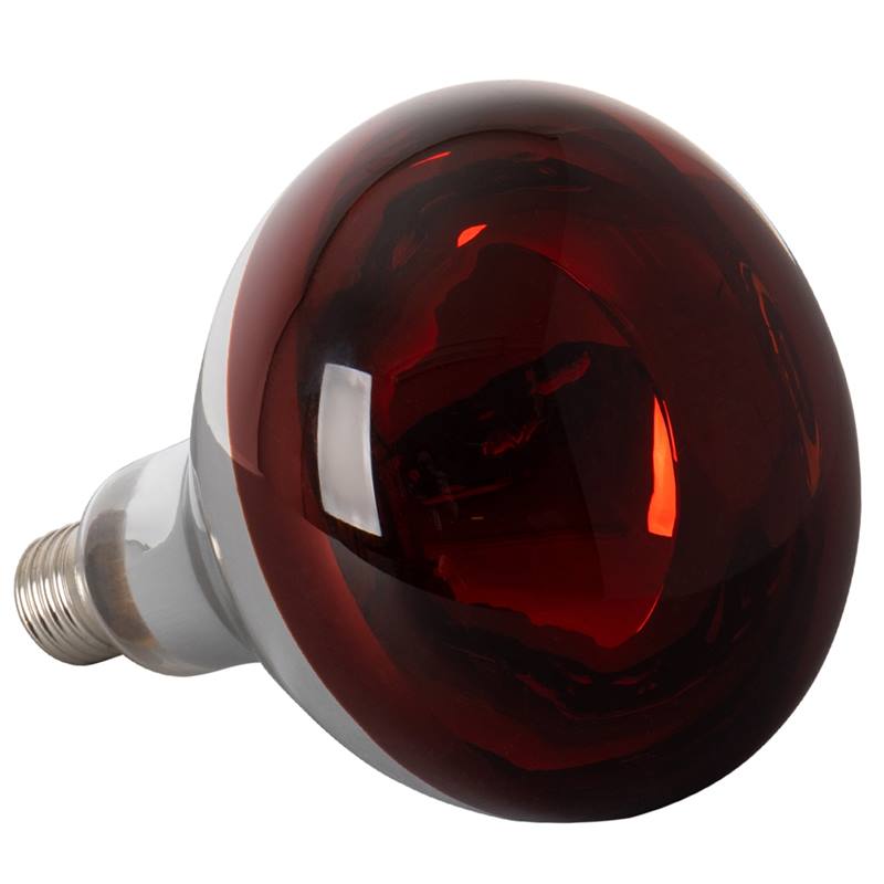 80320-8-infraroed-gloedlampa-haerdat-glas-infragloedlampa-roed.jpg