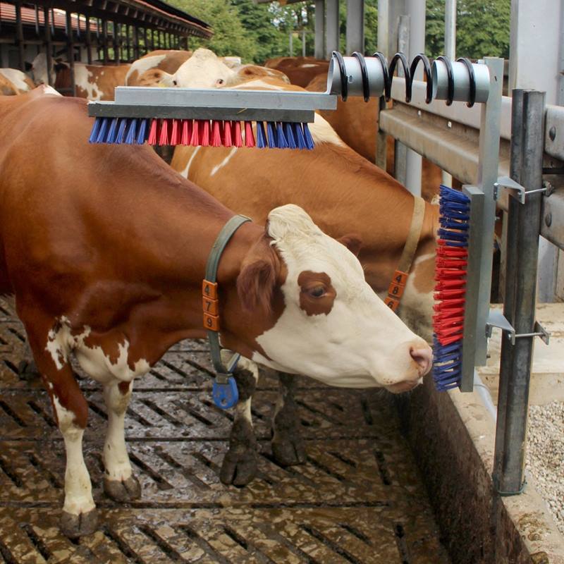Stor vy av bild Pälskliare EuroFarm, koborste, ryktborste lösdrift, sid- och ryggborste till nötkreatur, häst